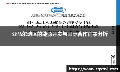 亚马尔地区的能源开发与国际合作前景分析